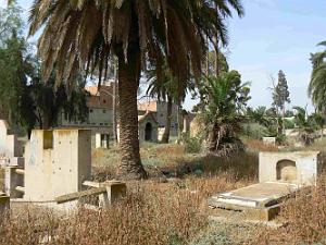 RELIZANE 2009 LE CIMETIERE  (18)